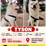 tyson
