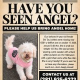 angel