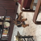 Jack